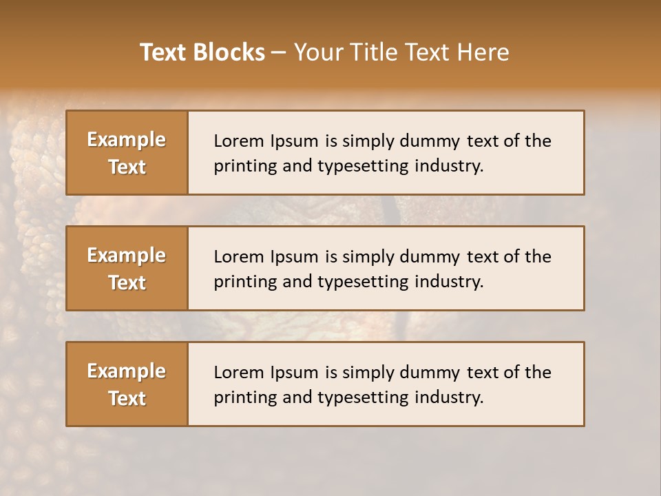 Macro Reptile Eyeball PowerPoint Template