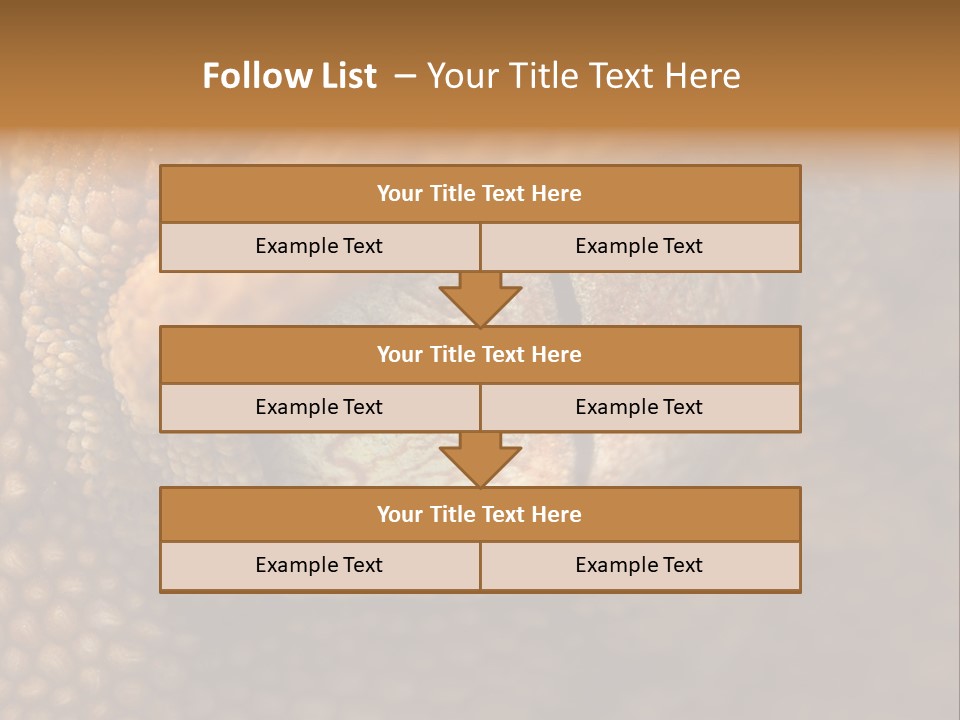 Macro Reptile Eyeball PowerPoint Template