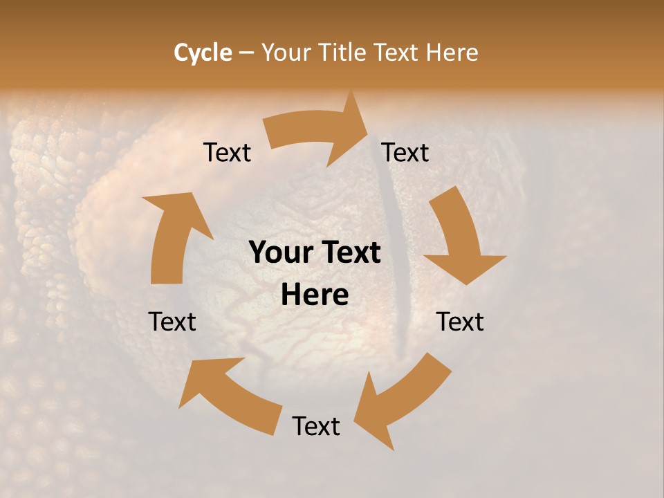 Macro Reptile Eyeball PowerPoint Template