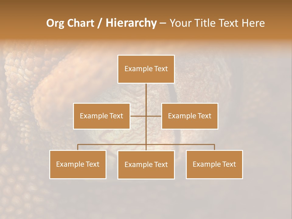 Macro Reptile Eyeball PowerPoint Template