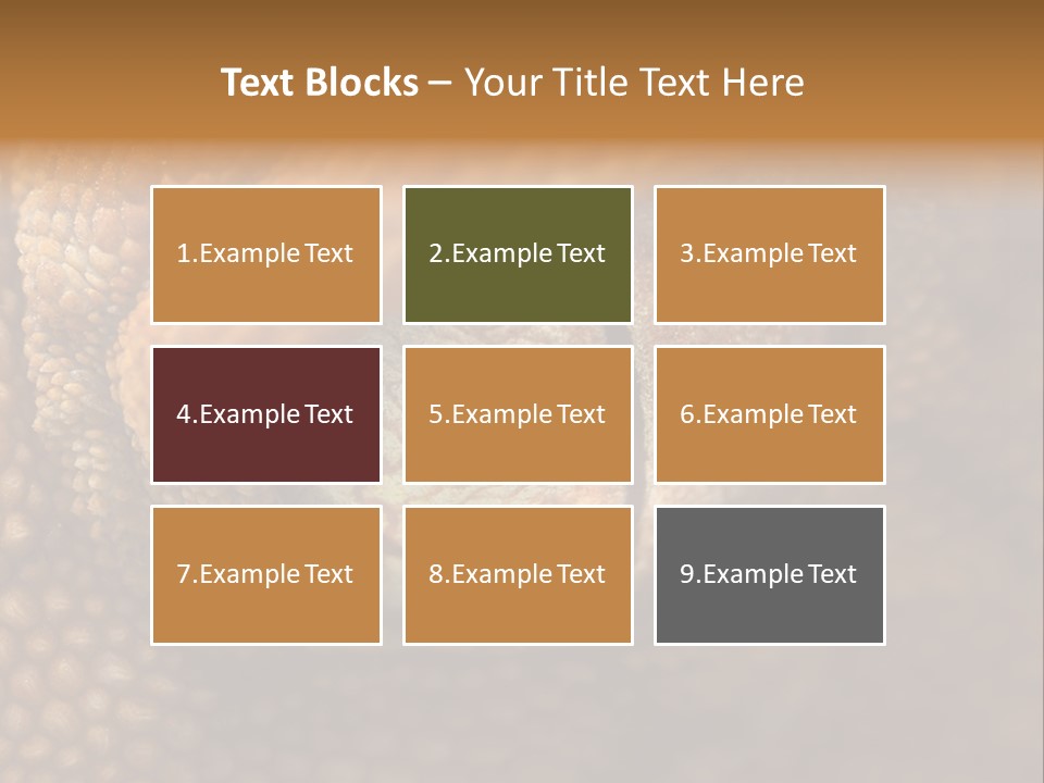 Macro Reptile Eyeball PowerPoint Template