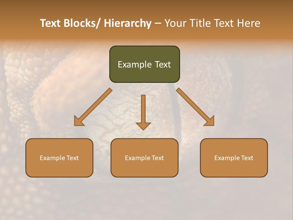 Macro Reptile Eyeball PowerPoint Template