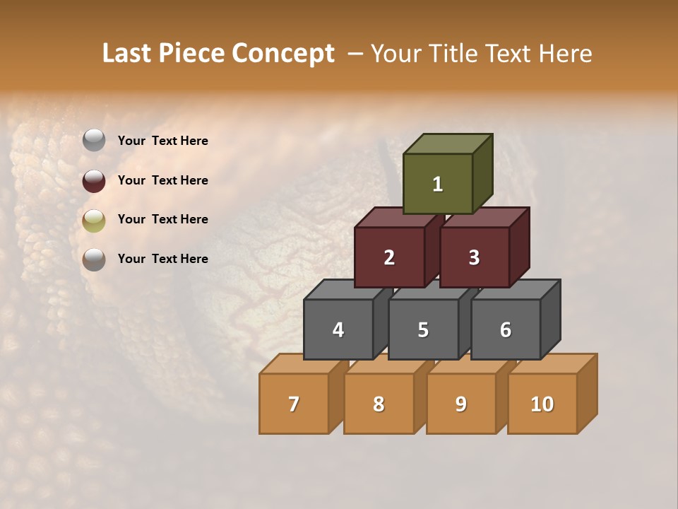 Macro Reptile Eyeball PowerPoint Template