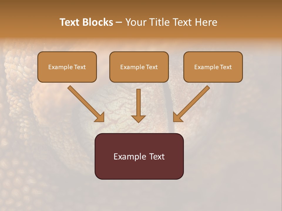 Macro Reptile Eyeball PowerPoint Template
