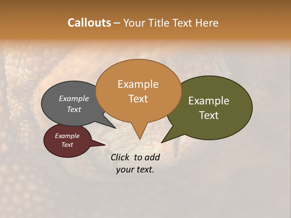 Macro Reptile Eyeball PowerPoint Template