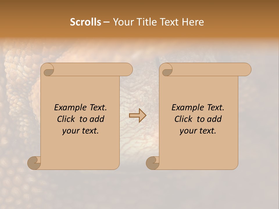 Macro Reptile Eyeball PowerPoint Template