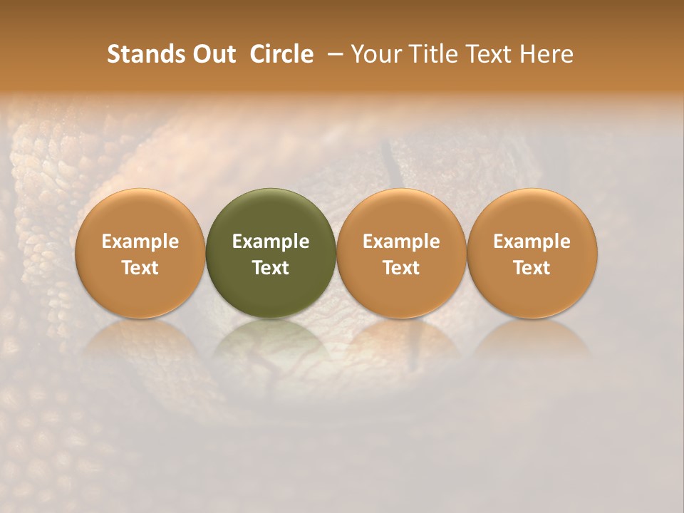 Macro Reptile Eyeball PowerPoint Template