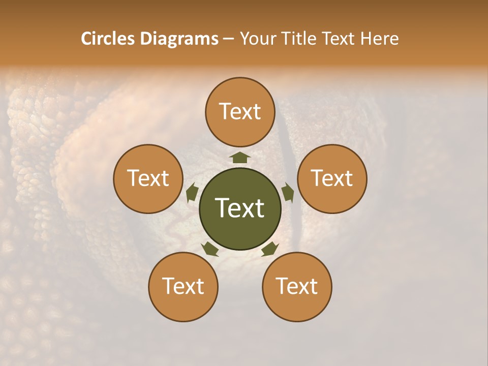 Macro Reptile Eyeball PowerPoint Template
