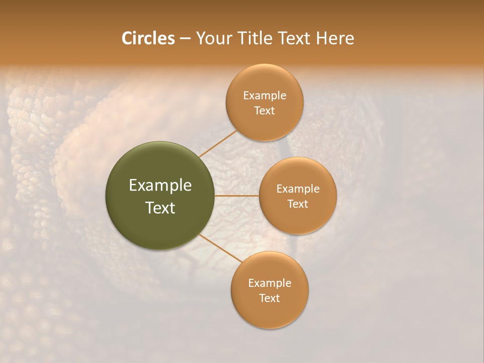 Macro Reptile Eyeball PowerPoint Template