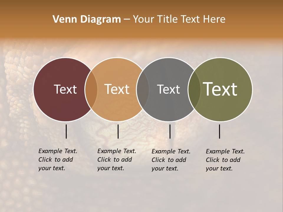 Macro Reptile Eyeball PowerPoint Template