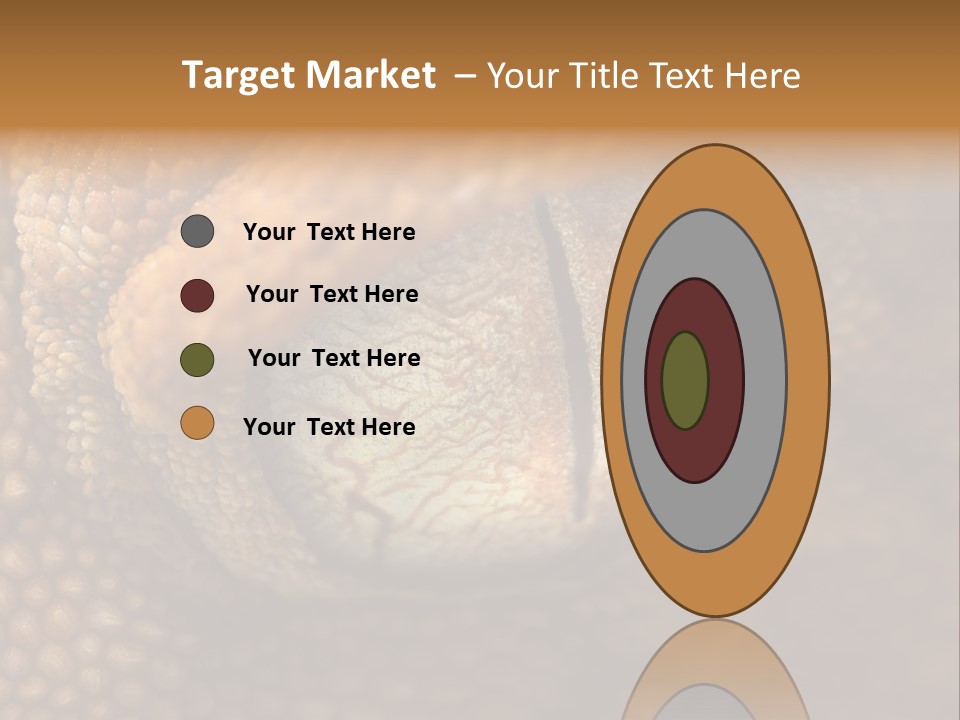 Macro Reptile Eyeball PowerPoint Template
