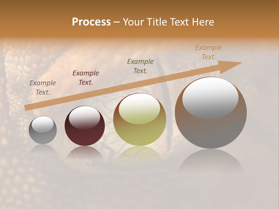 Macro Reptile Eyeball PowerPoint Template