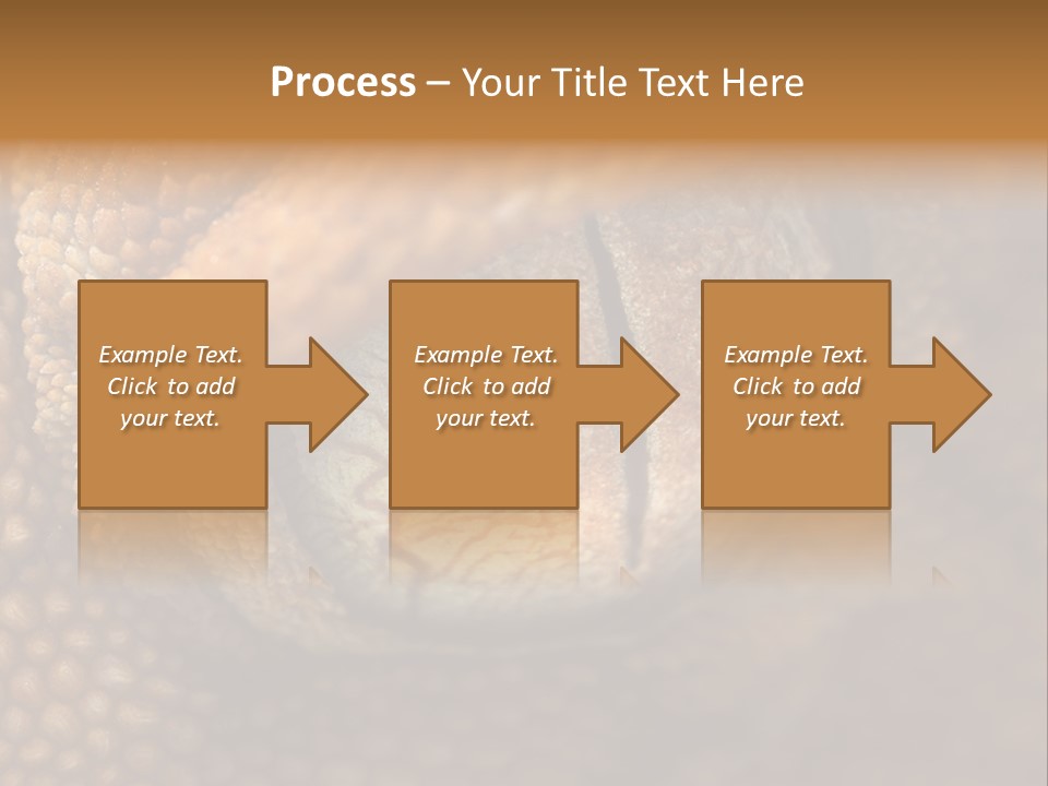 Macro Reptile Eyeball PowerPoint Template