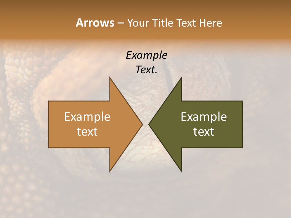 Macro Reptile Eyeball PowerPoint Template