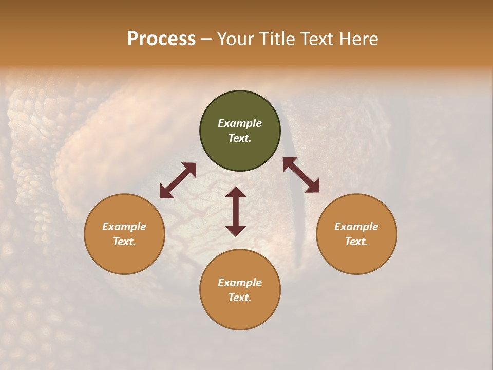 Macro Reptile Eyeball PowerPoint Template