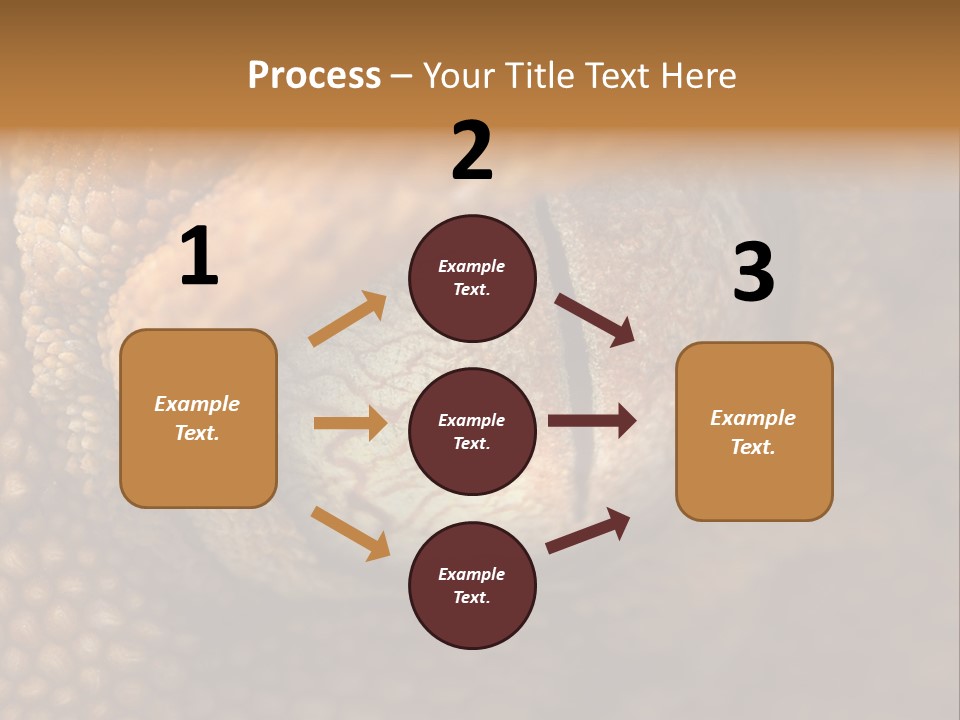Macro Reptile Eyeball PowerPoint Template
