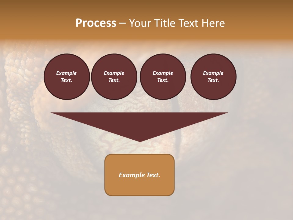 Macro Reptile Eyeball PowerPoint Template