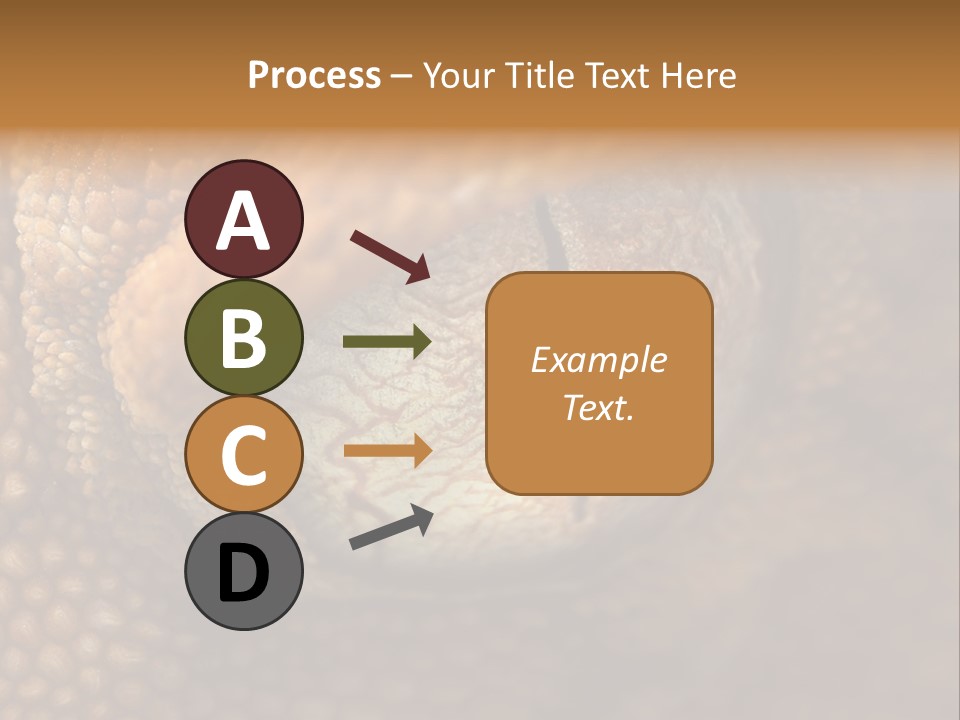 Macro Reptile Eyeball PowerPoint Template