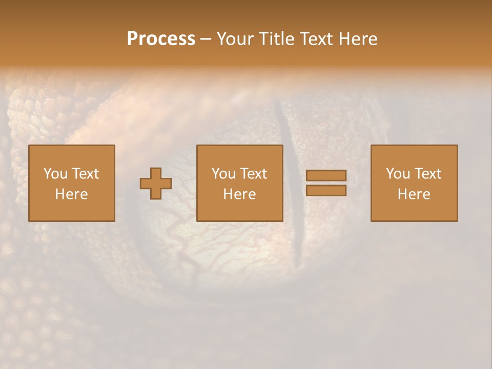 Macro Reptile Eyeball PowerPoint Template