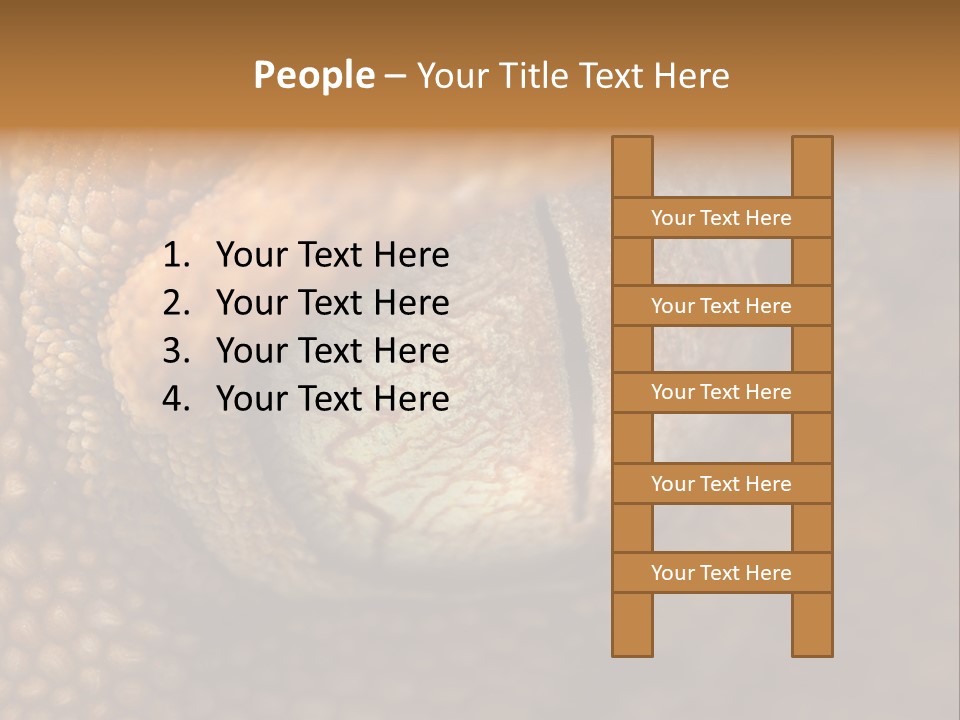 Macro Reptile Eyeball PowerPoint Template