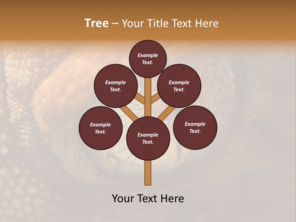 Macro Reptile Eyeball PowerPoint Template