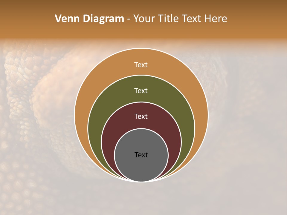 Macro Reptile Eyeball PowerPoint Template