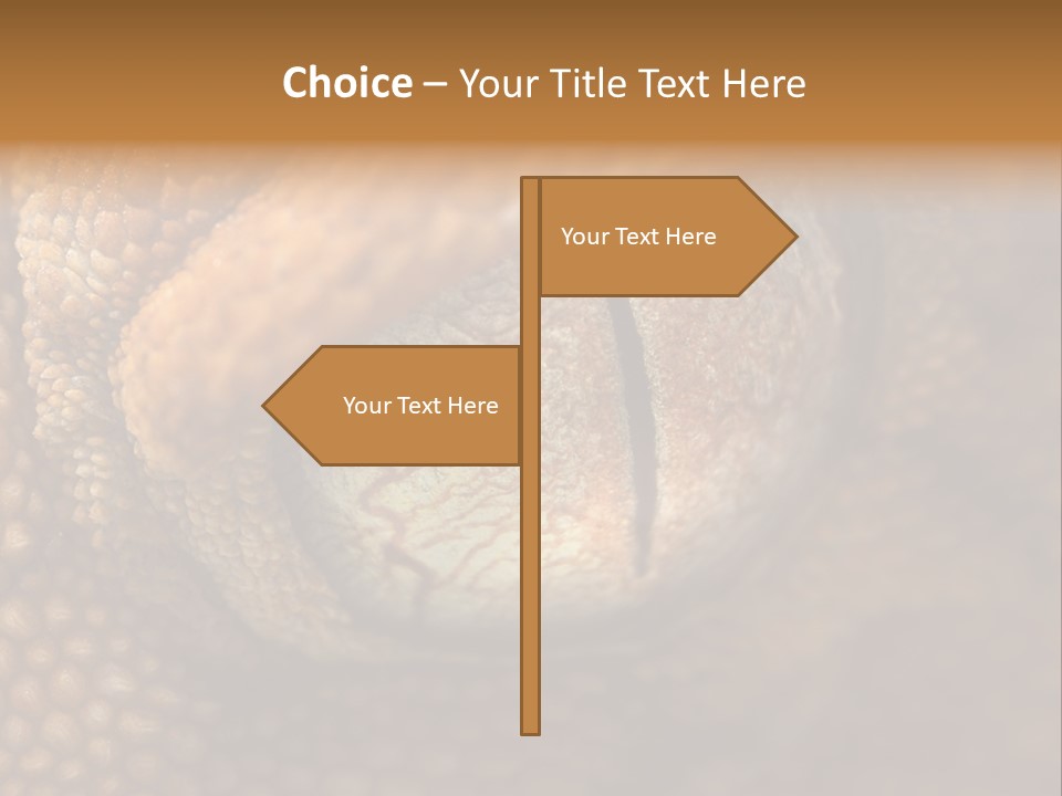 Macro Reptile Eyeball PowerPoint Template