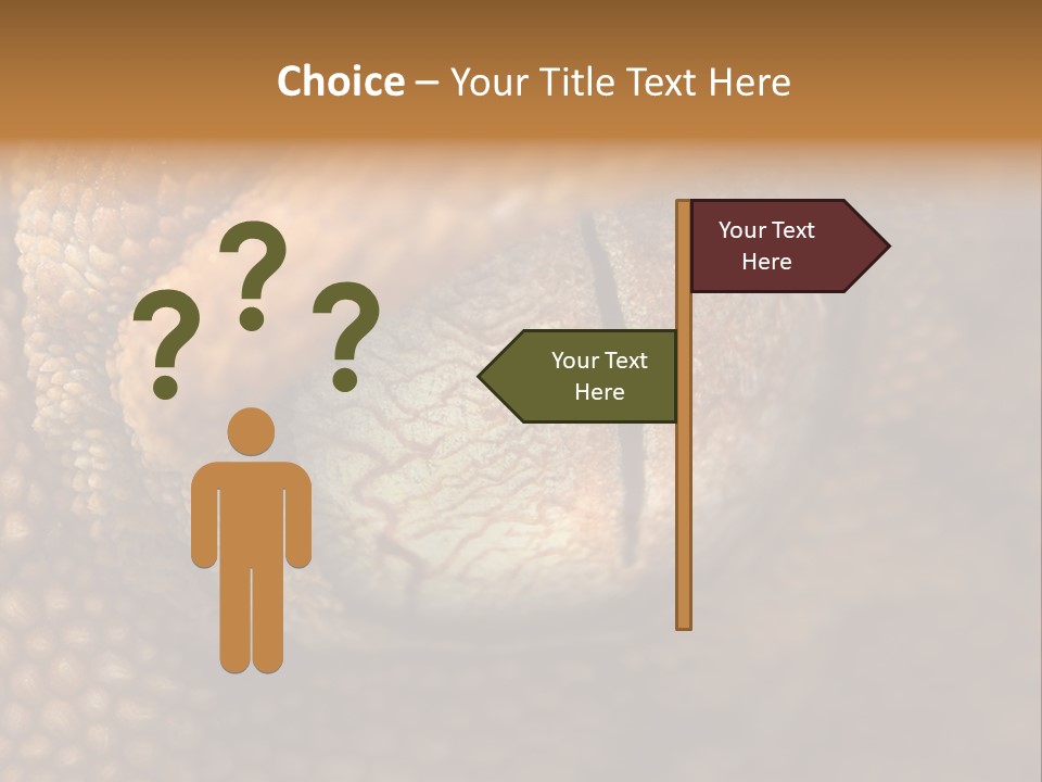 Macro Reptile Eyeball PowerPoint Template