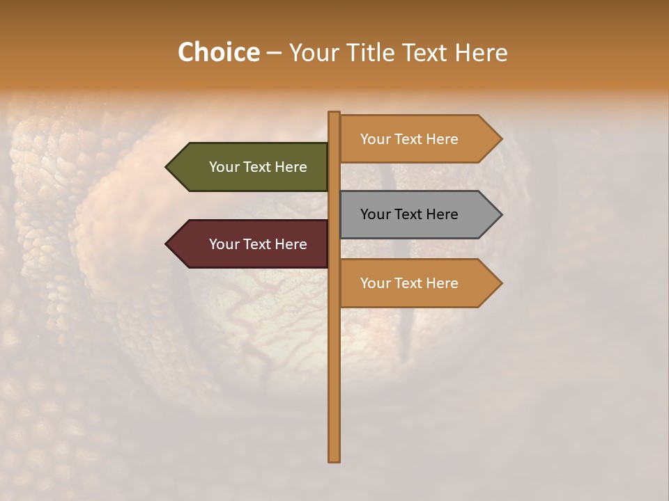 Macro Reptile Eyeball PowerPoint Template