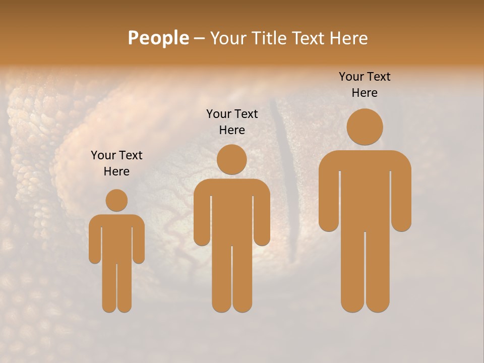 Macro Reptile Eyeball PowerPoint Template