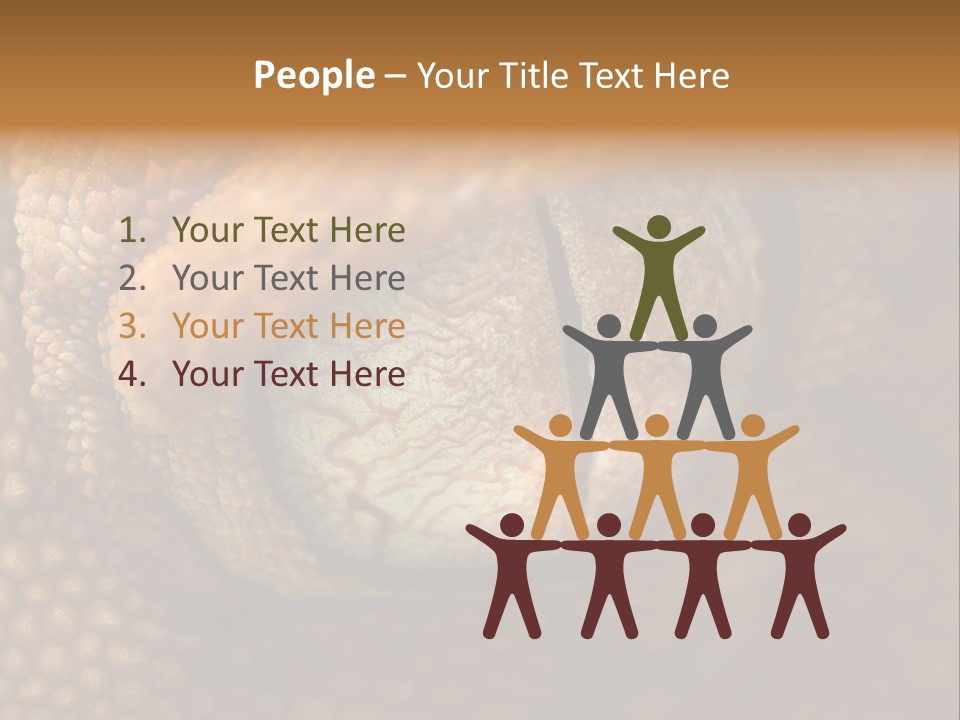 Macro Reptile Eyeball PowerPoint Template