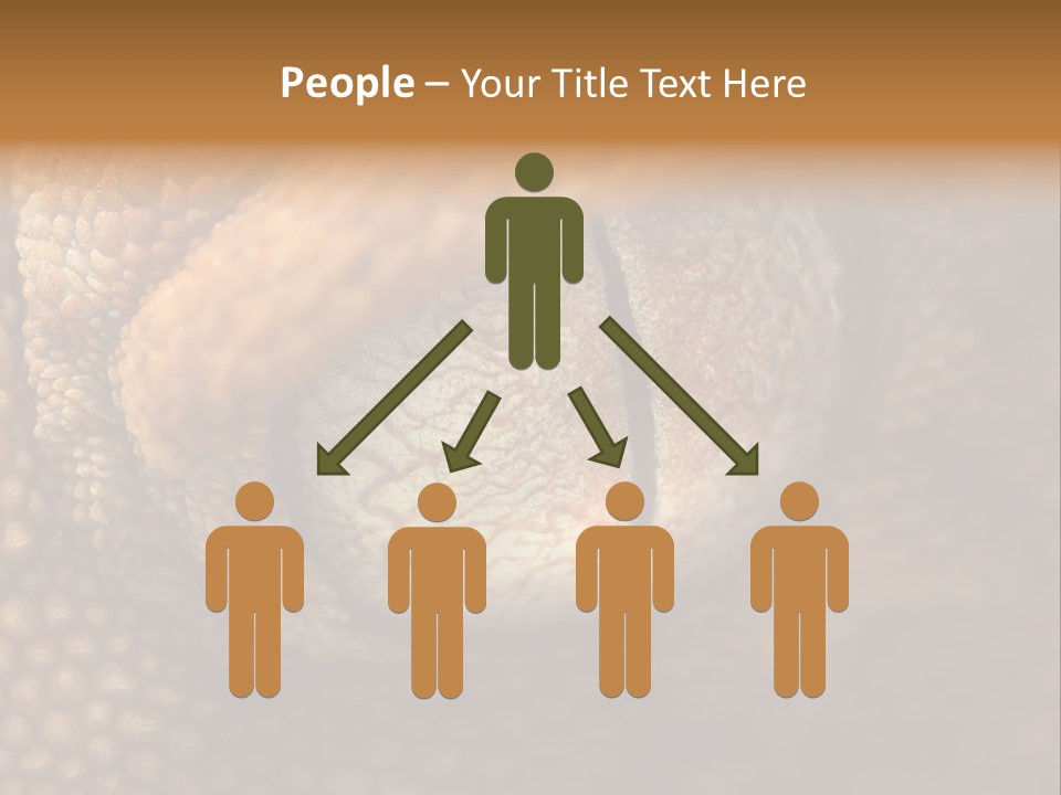 Macro Reptile Eyeball PowerPoint Template