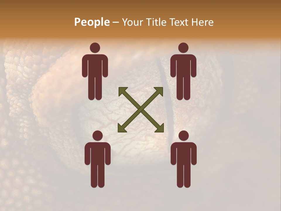 Macro Reptile Eyeball PowerPoint Template