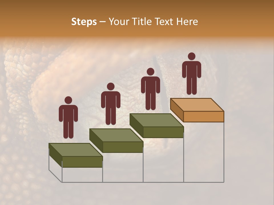 Macro Reptile Eyeball PowerPoint Template