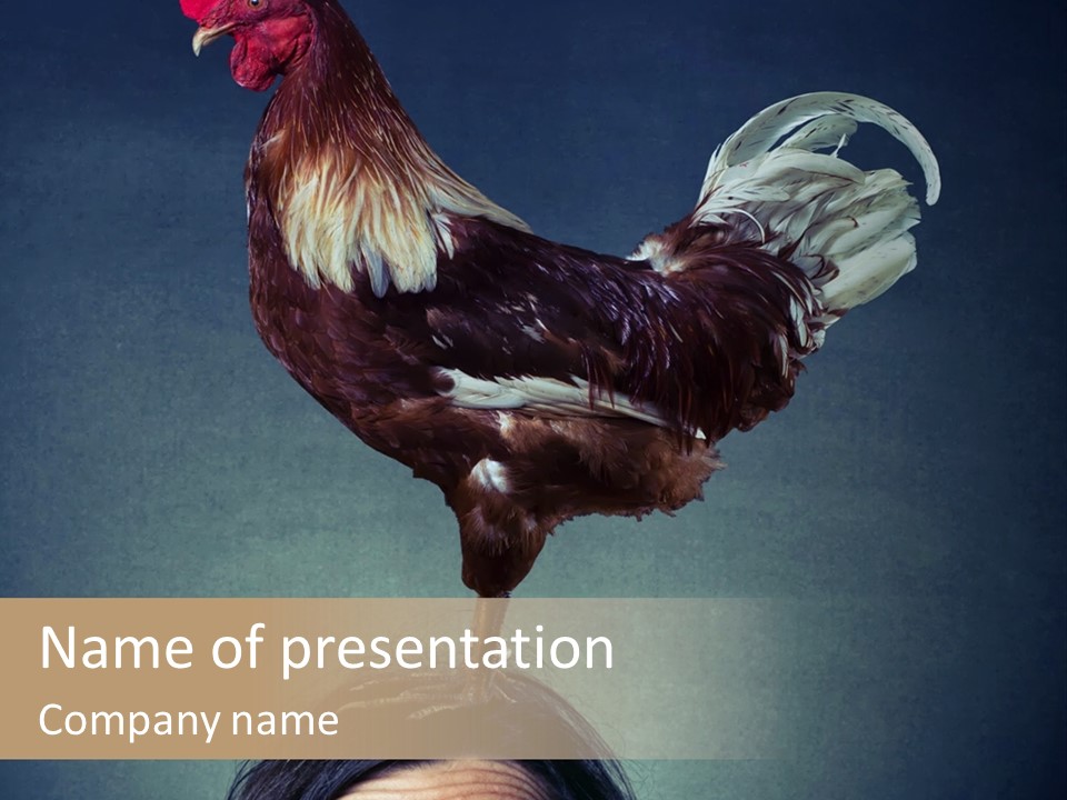 A Rooster Standing On Top Of A Woman's Head PowerPoint Template