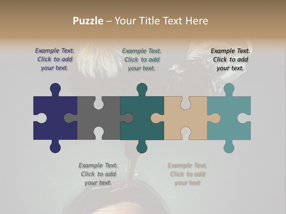 A Rooster Standing On Top Of A Woman's Head PowerPoint Template