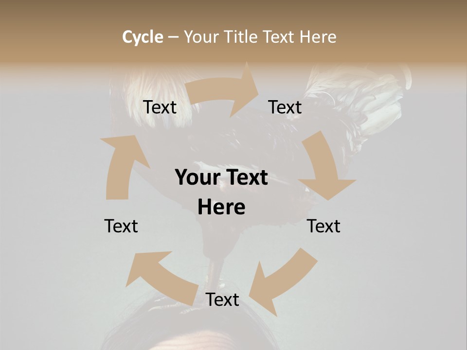 A Rooster Standing On Top Of A Woman's Head PowerPoint Template