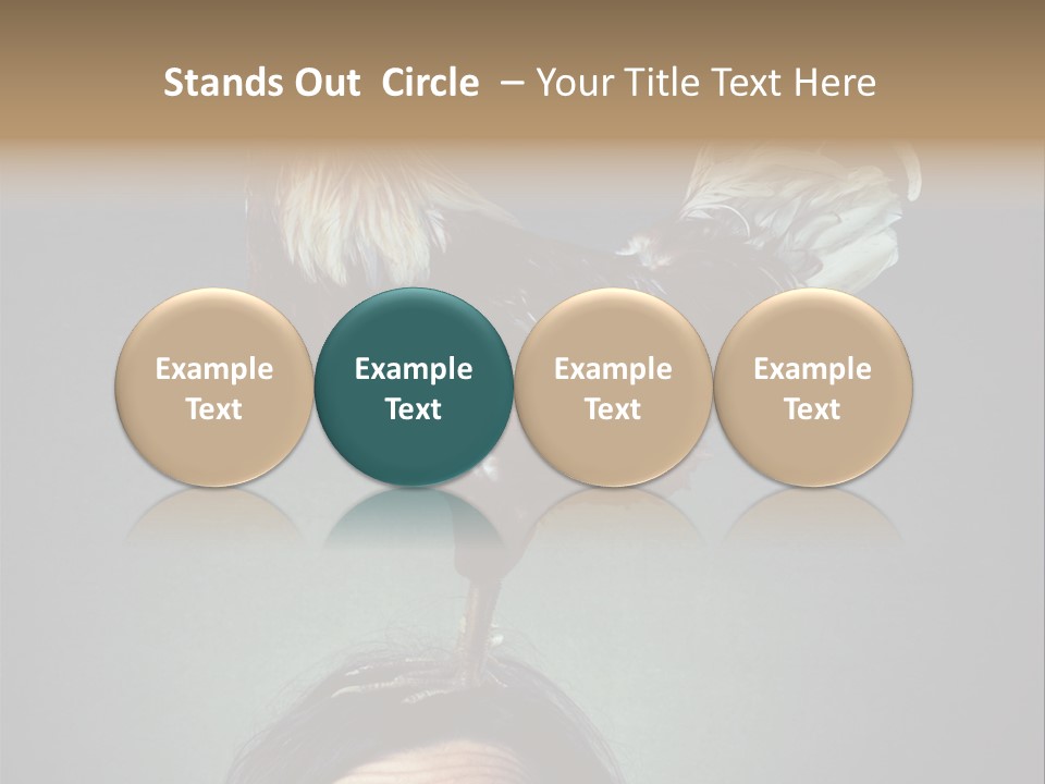 A Rooster Standing On Top Of A Woman's Head PowerPoint Template