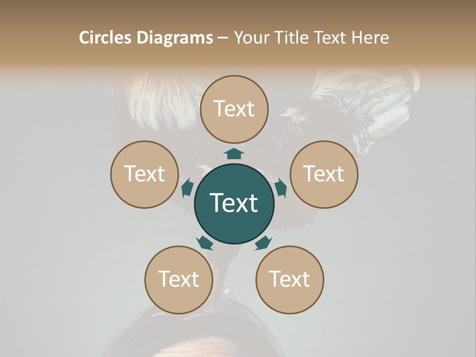 A Rooster Standing On Top Of A Woman's Head PowerPoint Template