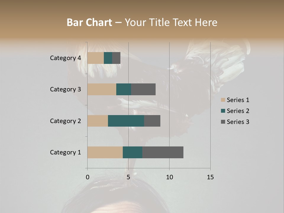 A Rooster Standing On Top Of A Woman's Head PowerPoint Template