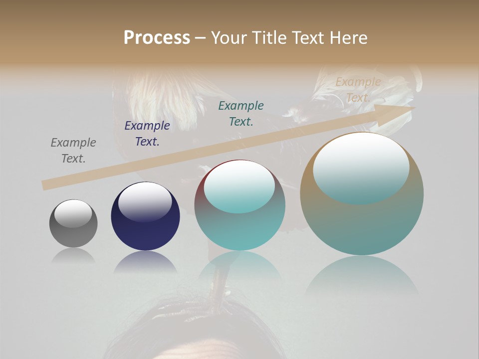 A Rooster Standing On Top Of A Woman's Head PowerPoint Template