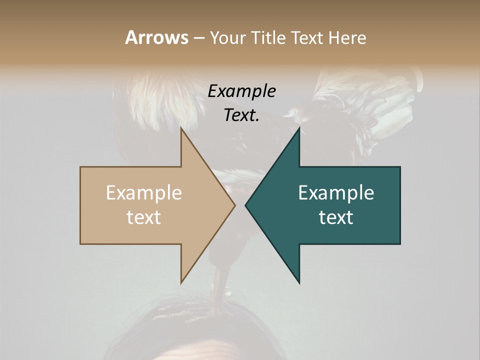 A Rooster Standing On Top Of A Woman's Head PowerPoint Template