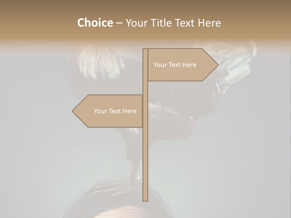 A Rooster Standing On Top Of A Woman's Head PowerPoint Template