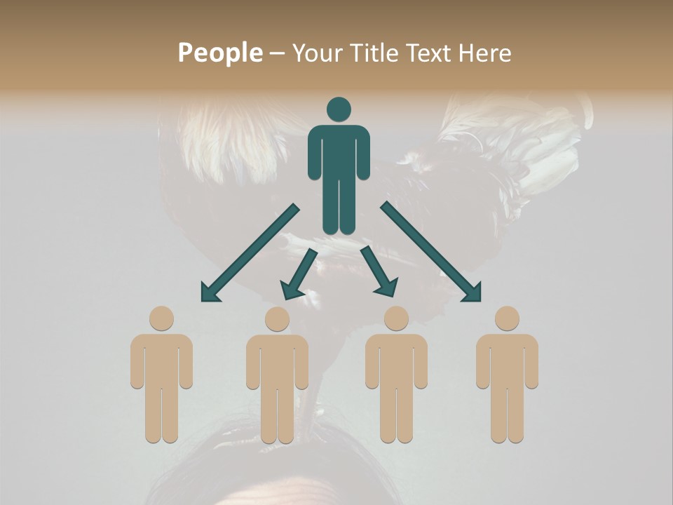 A Rooster Standing On Top Of A Woman's Head PowerPoint Template