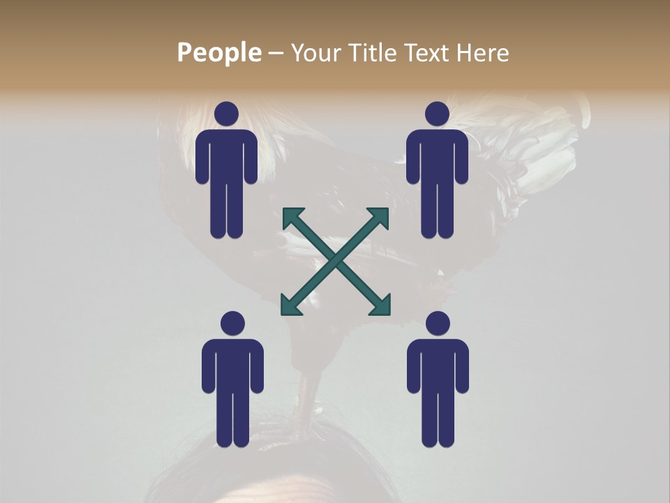 A Rooster Standing On Top Of A Woman's Head PowerPoint Template