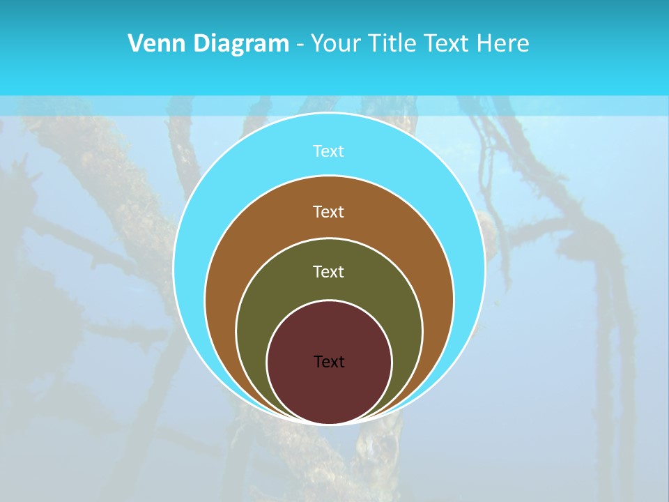 Interior Beautiful Vintage PowerPoint Template
