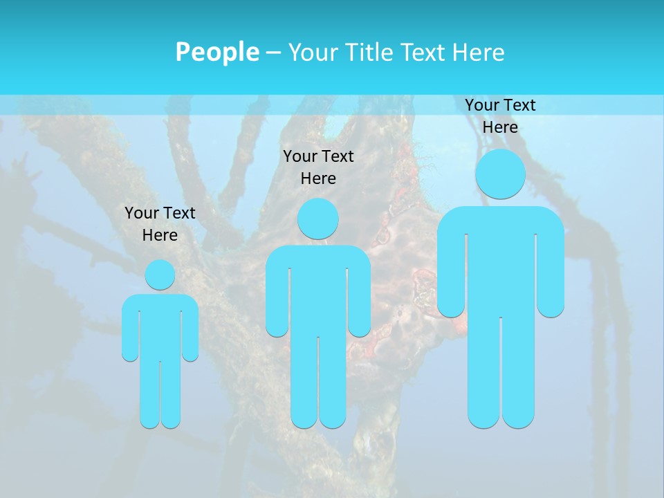 Interior Beautiful Vintage PowerPoint Template