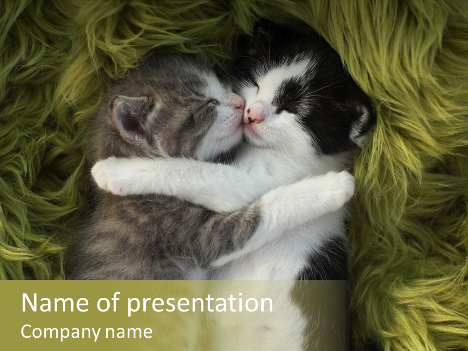Two Kittens Cuddle Together In A Green Blanket PowerPoint Template