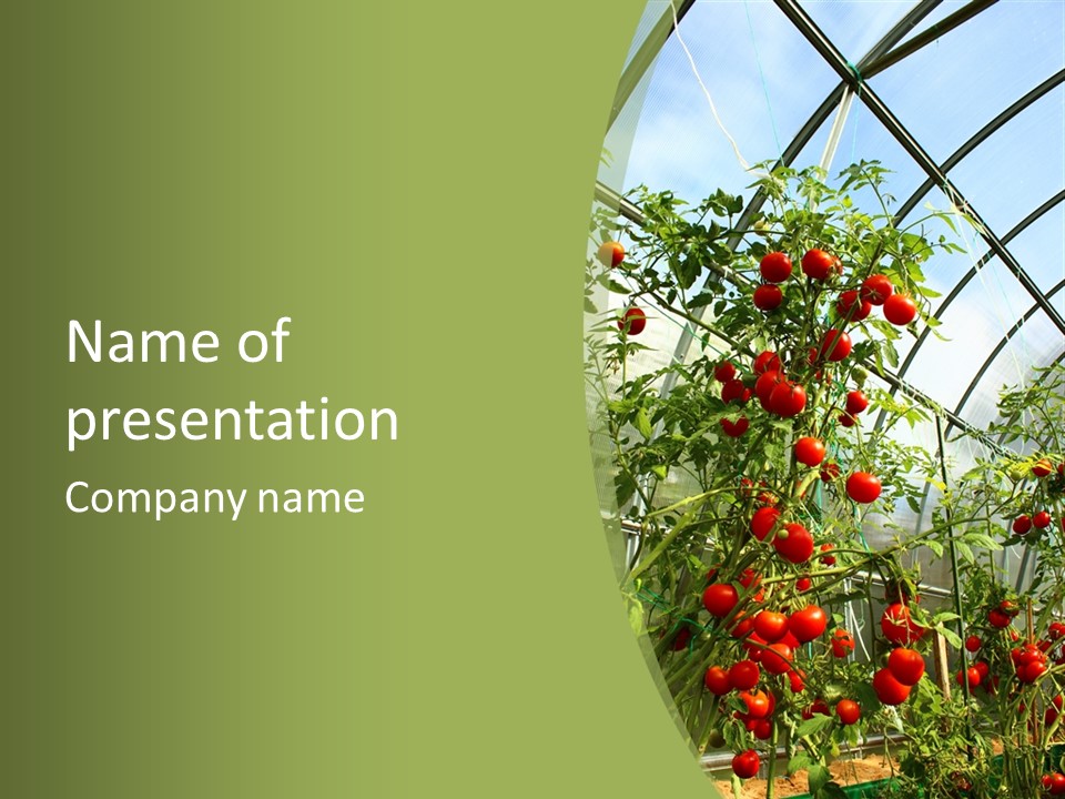 Yummy Healthy Plantation PowerPoint Template