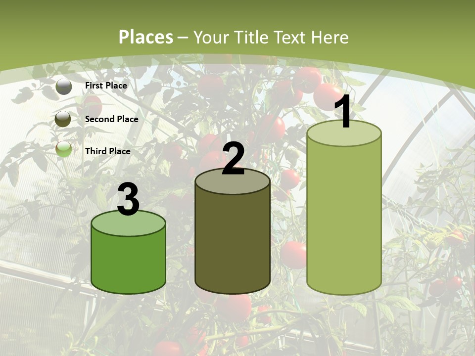 Yummy Healthy Plantation PowerPoint Template